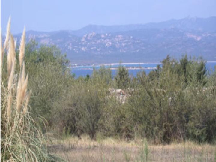 Лот SAR 028 PORTO ROTONDO  Цена: 3.100.000 ?.